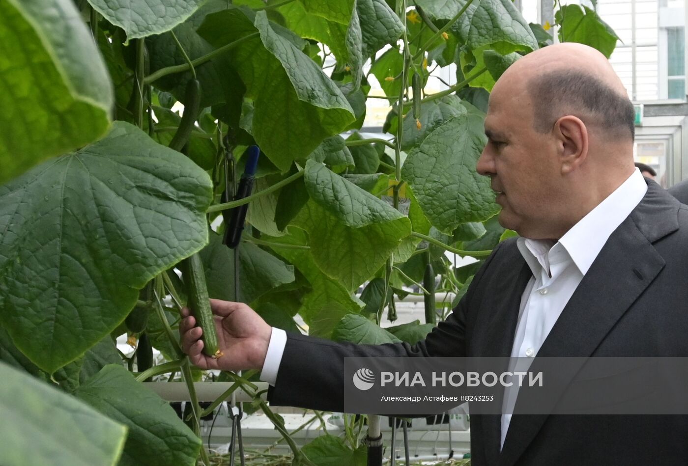 Рабочая поездка премьер-министра РФ М. Мишустина в Центральный федеральный округ