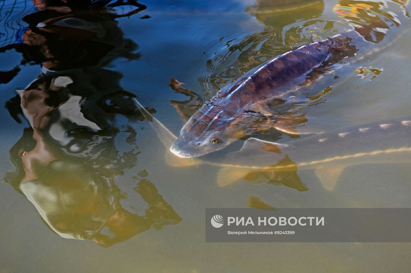 #ОткрываяРоссию. Астрахань