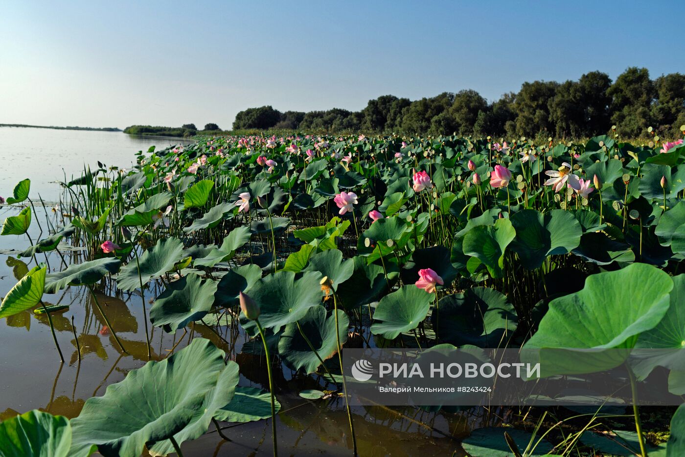 #ОткрываяРоссию. Астрахань