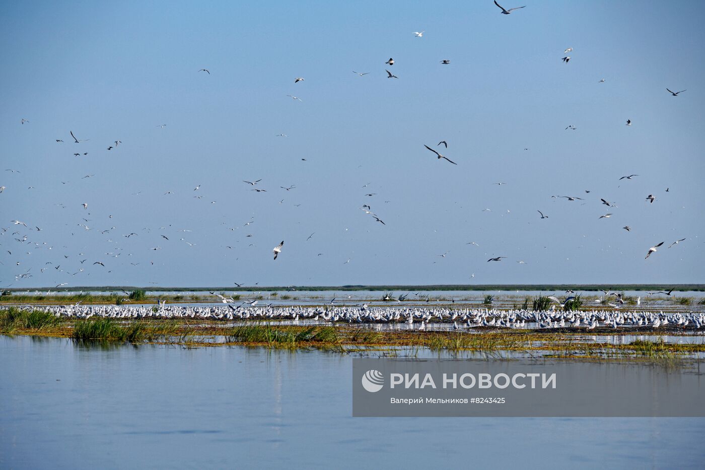 #ОткрываяРоссию. Астрахань