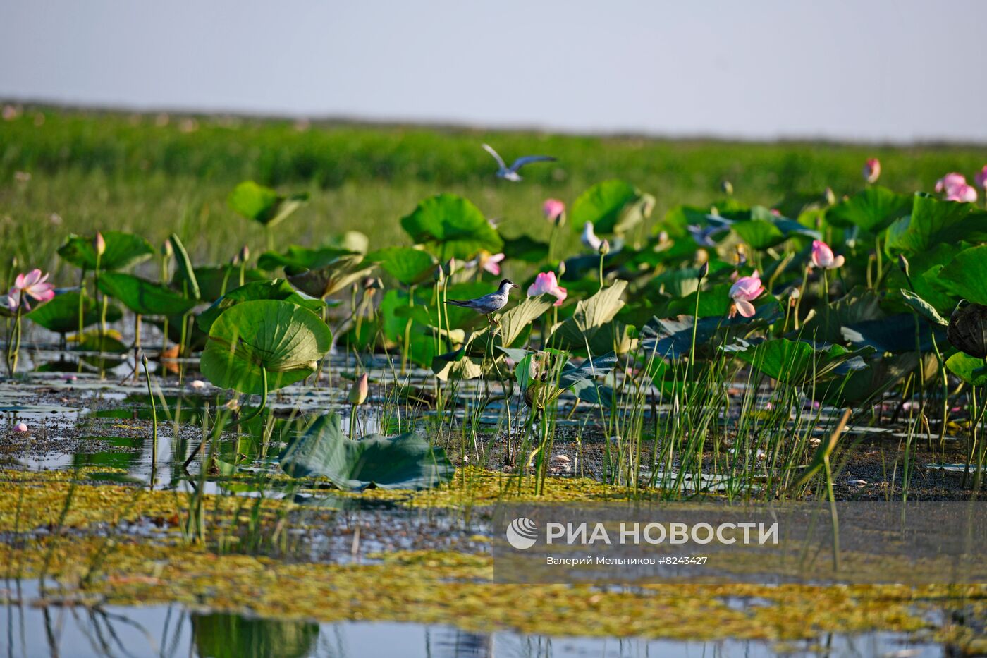 #ОткрываяРоссию. Астрахань