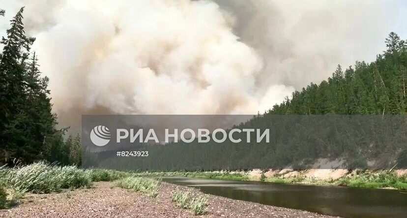 Лесные пожары в Якутии