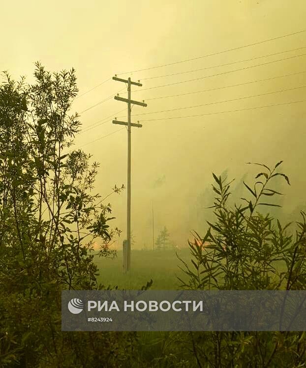 Лесные пожары в Якутии