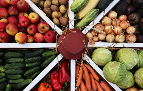 Выставка "Всероссийский день поля" в Калининградской области