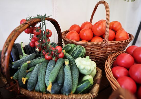 Выставка "Всероссийский день поля" в Калининградской области