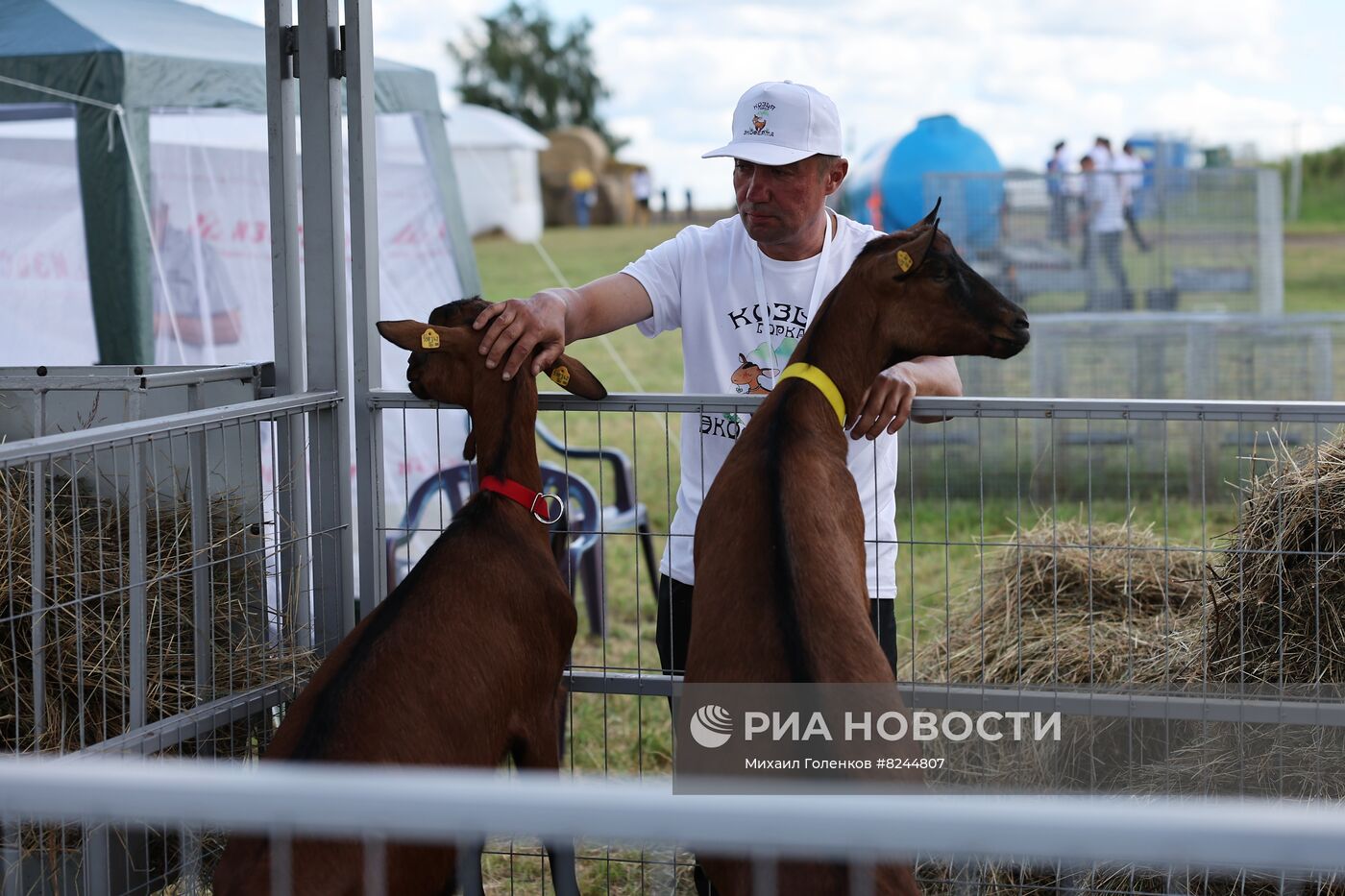 Выставка "Всероссийский день поля" в Калининградской области