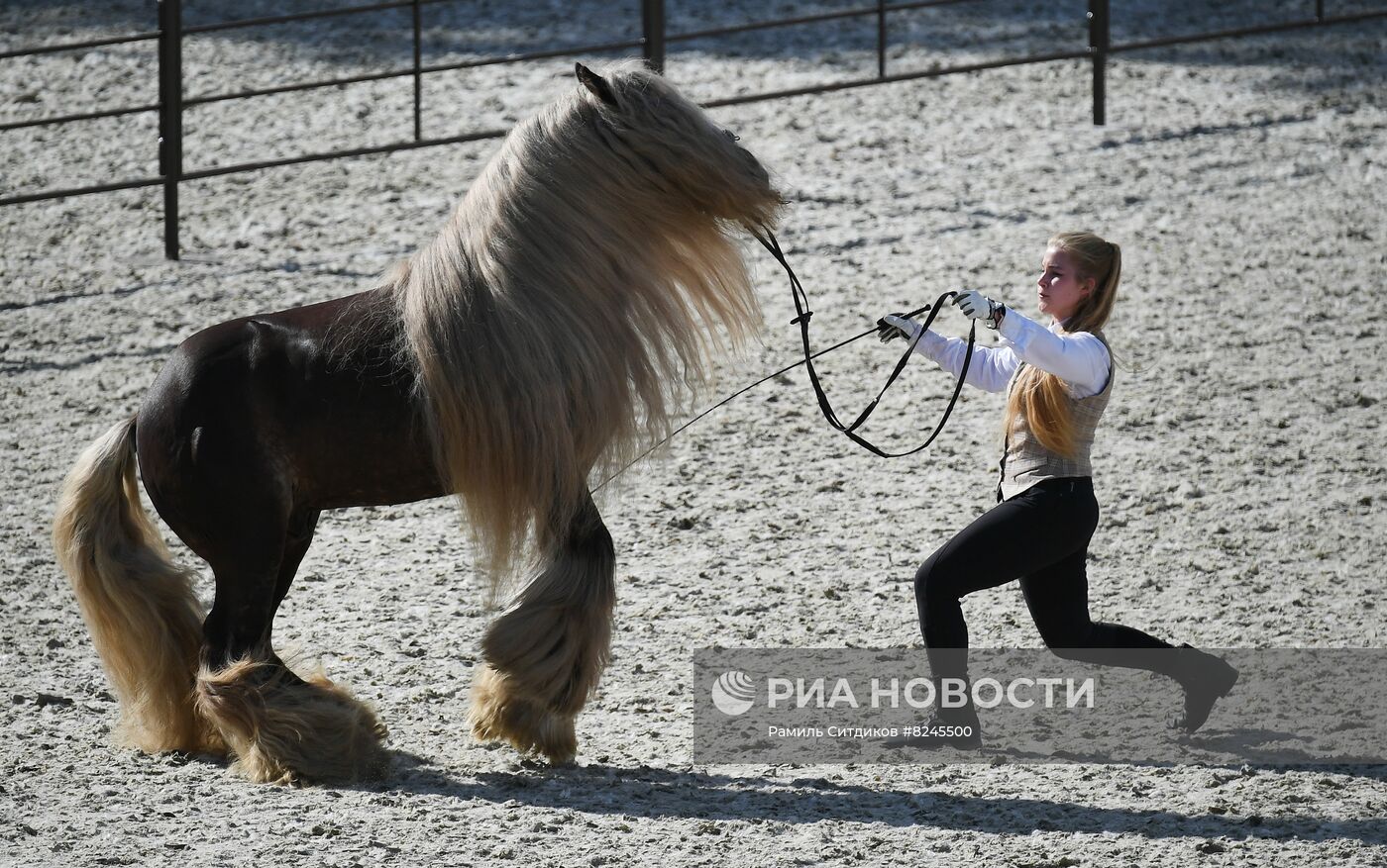 Международный конный фестиваль "Иваново Поле"