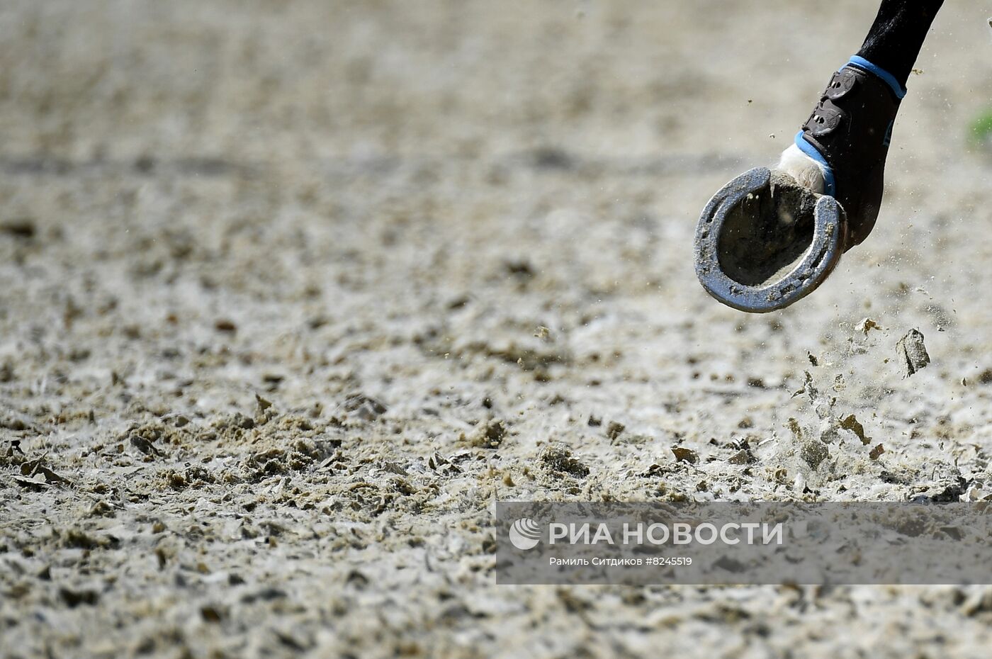 Международный конный фестиваль "Иваново Поле"