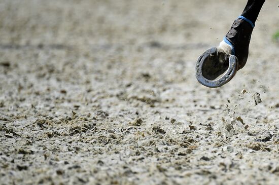 Международный конный фестиваль "Иваново Поле"