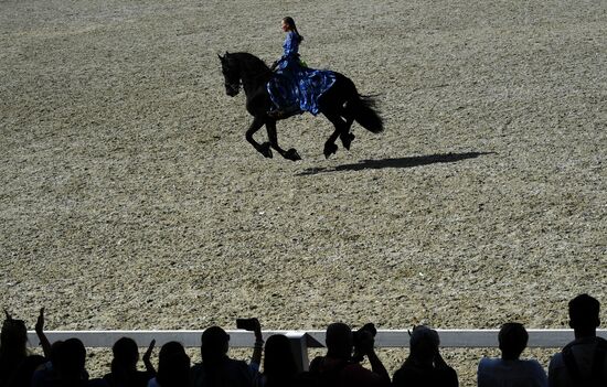 Международный конный фестиваль "Иваново Поле"