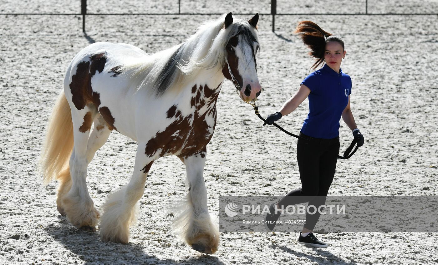 Международный конный фестиваль "Иваново Поле"