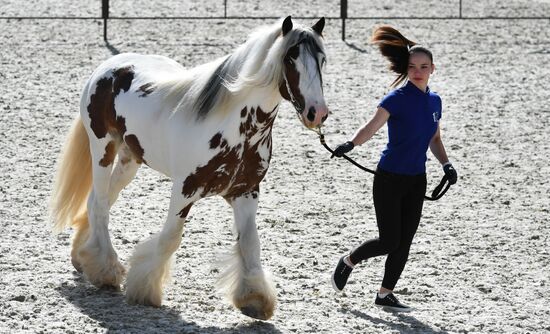 Международный конный фестиваль "Иваново Поле"