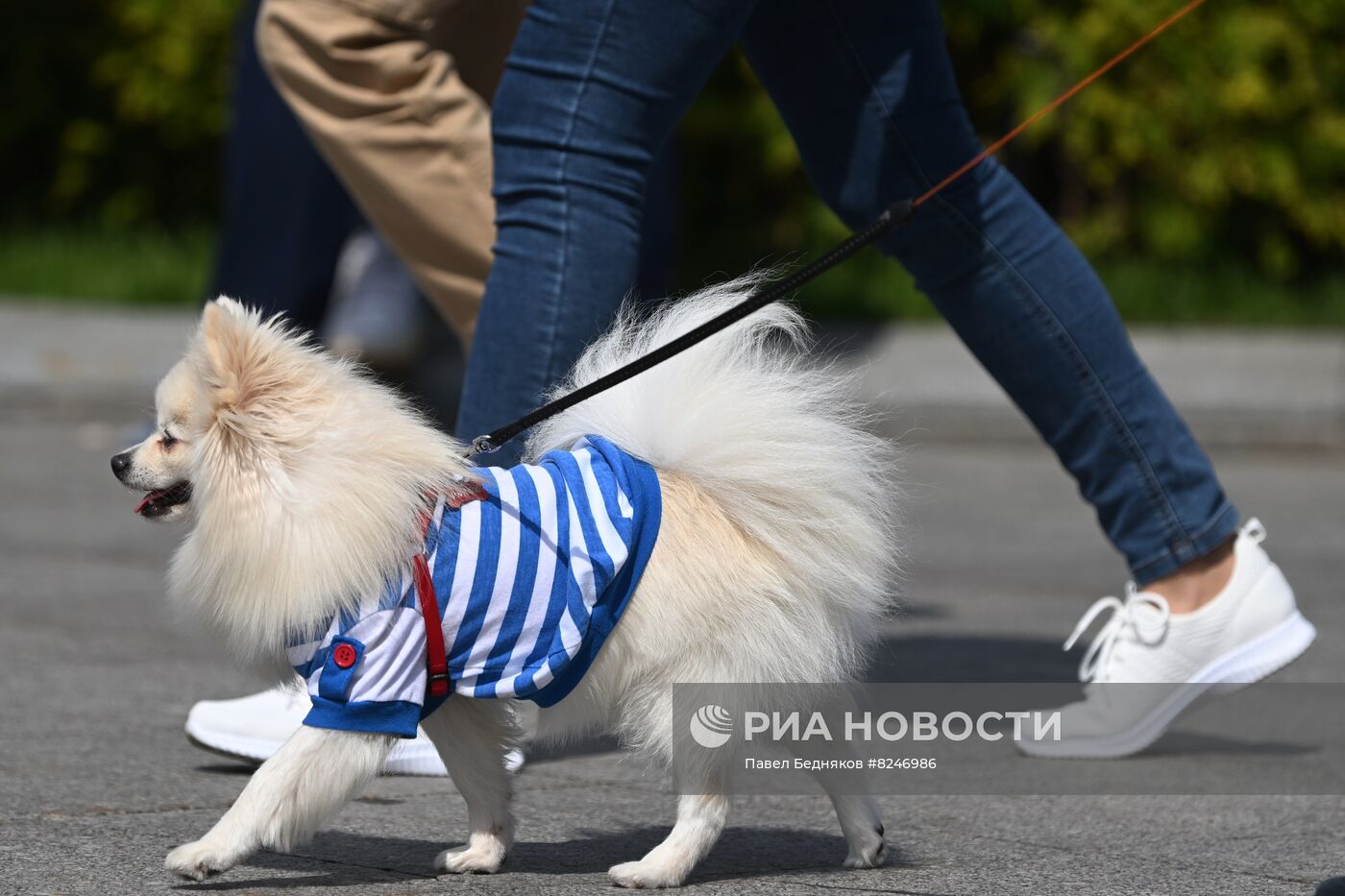 Празднование Дня ВДВ