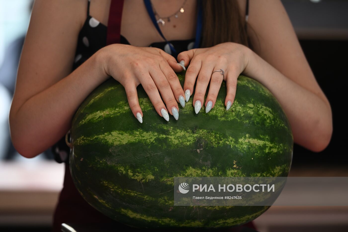 Бахчевые развалы в Москве