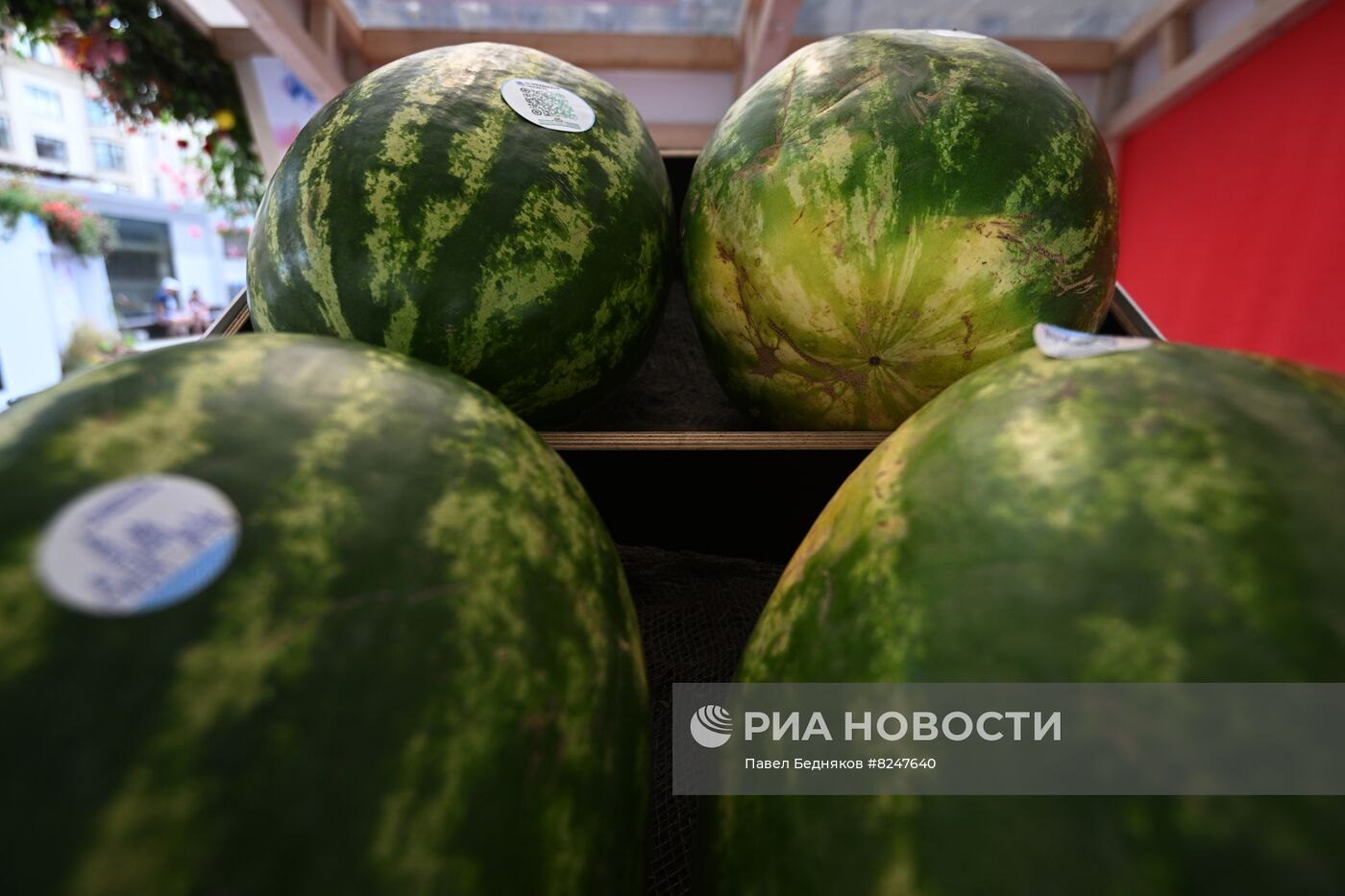 Бахчевые развалы в Москве