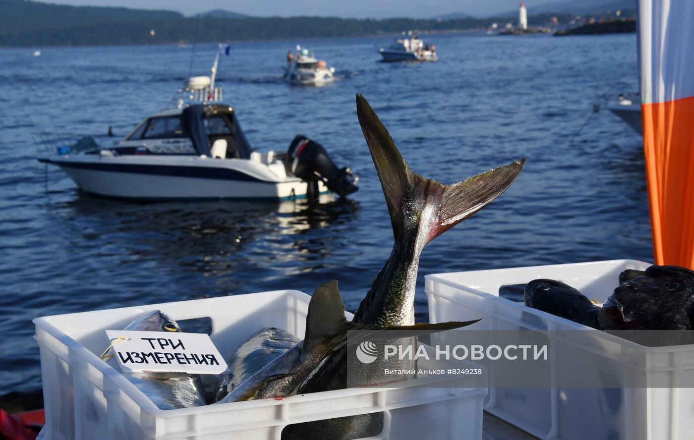 Чемпионат по подводной охоте во Владивостоке