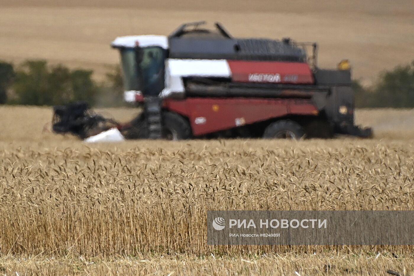 Сбор урожая зерновых в ДНР