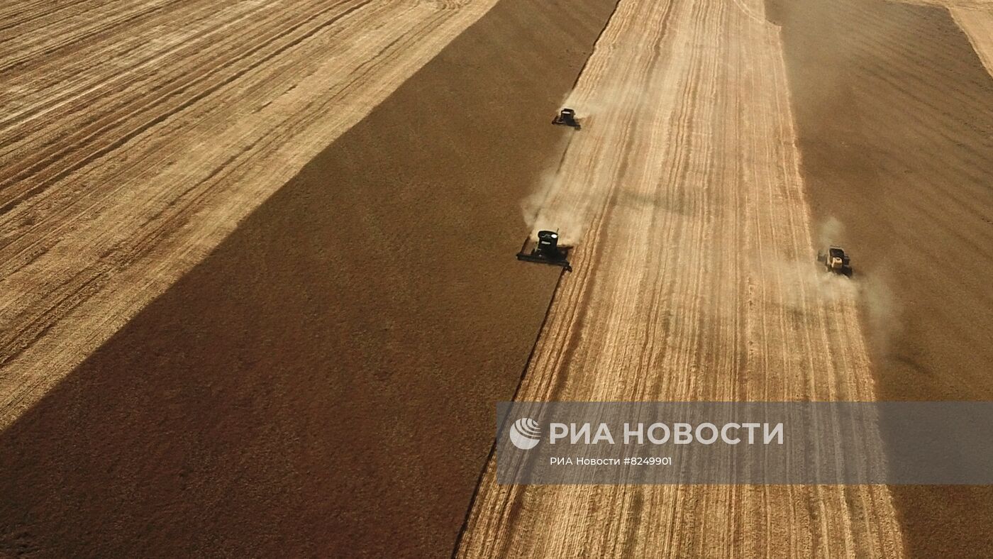 Сбор урожая зерновых в ДНР