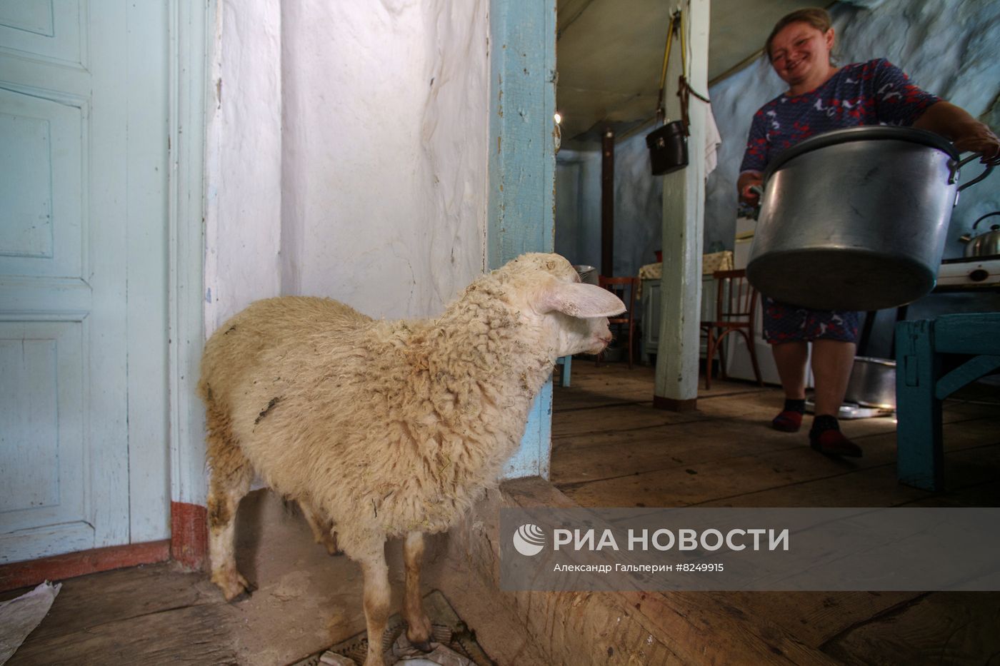 Производство домашнего сыра в горах Северной Осетии