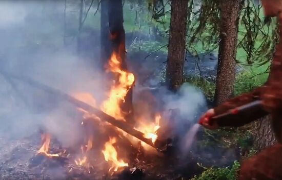 Лесные пожары в Ханты-Мансийском автономном округе