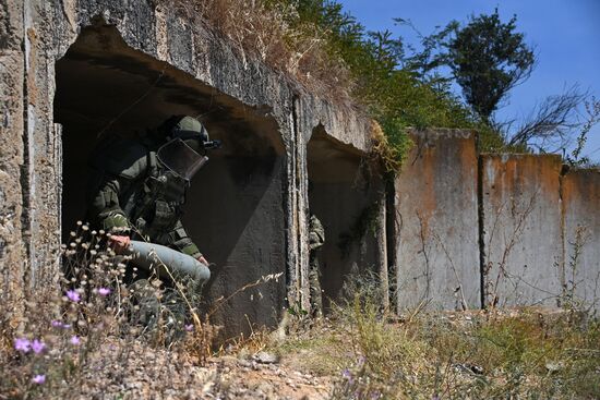 Разминирование моста в Коминтерново