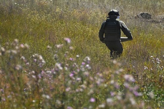 Разминирование моста в Коминтерново