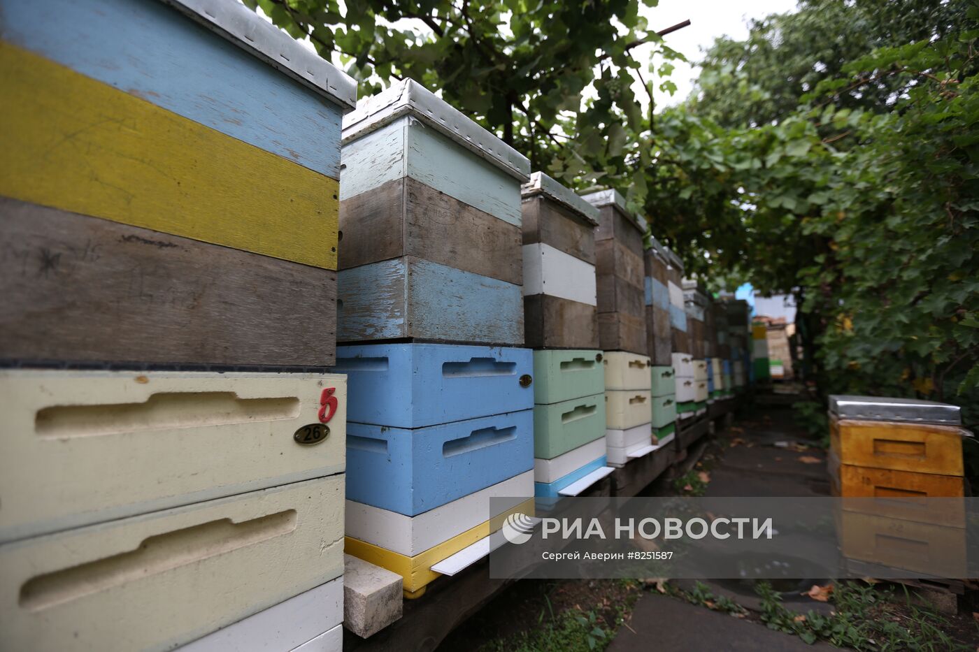 Производство меда в Донецке