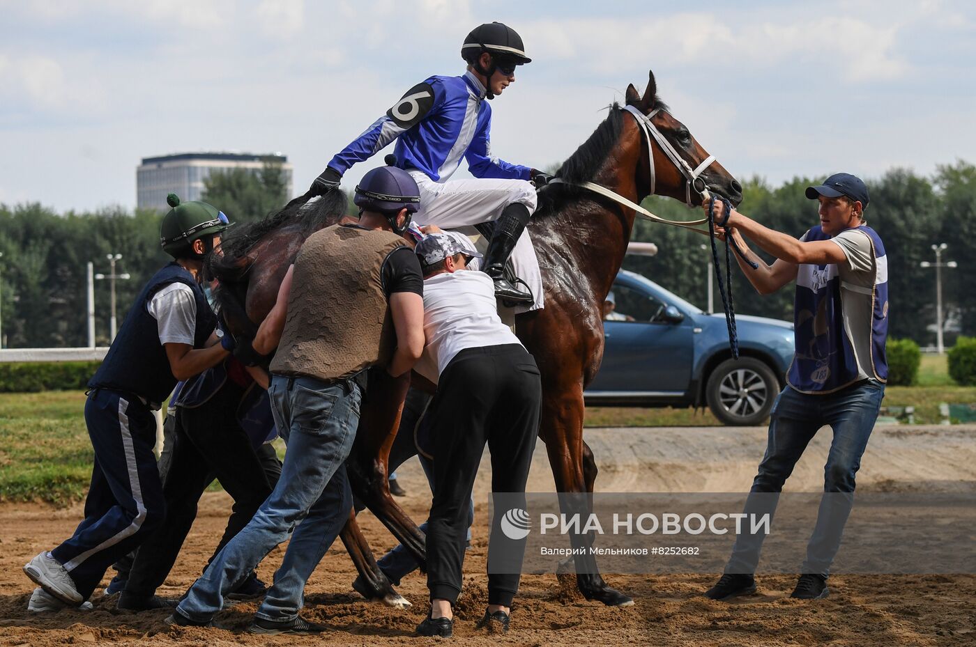 Праздник чистокровного коннозаводства