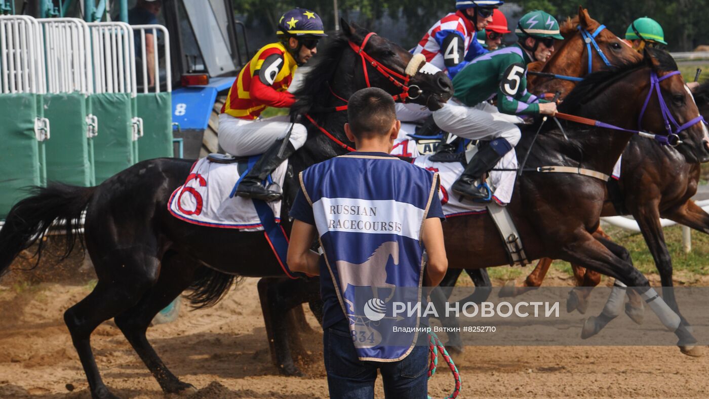 Праздник чистокровного коннозаводства