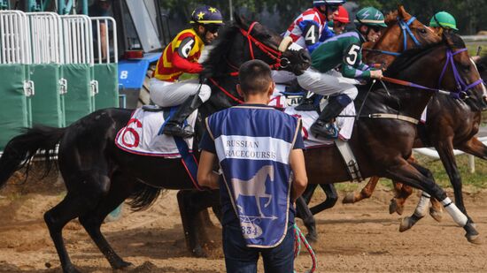 Праздник чистокровного коннозаводства