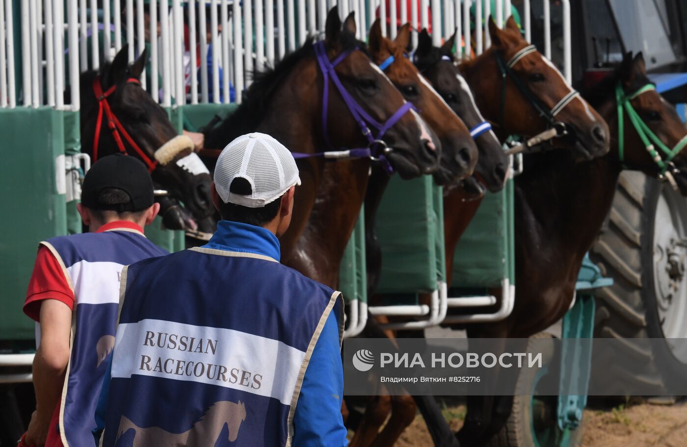Праздник чистокровного коннозаводства