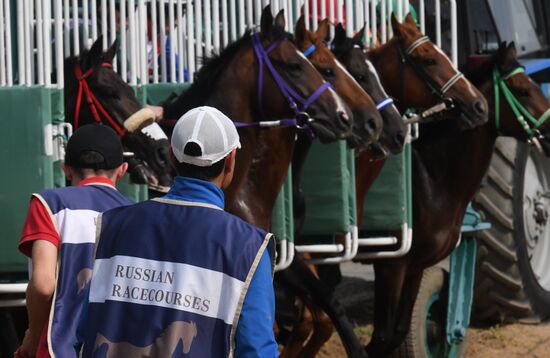 Праздник чистокровного коннозаводства