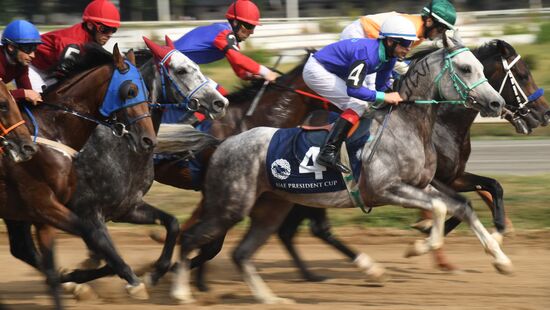 Праздник чистокровного коннозаводства