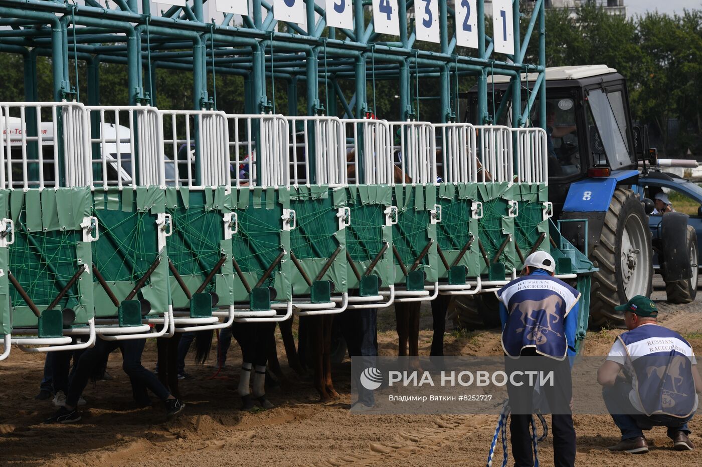 Праздник чистокровного коннозаводства