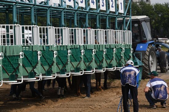 Праздник чистокровного коннозаводства