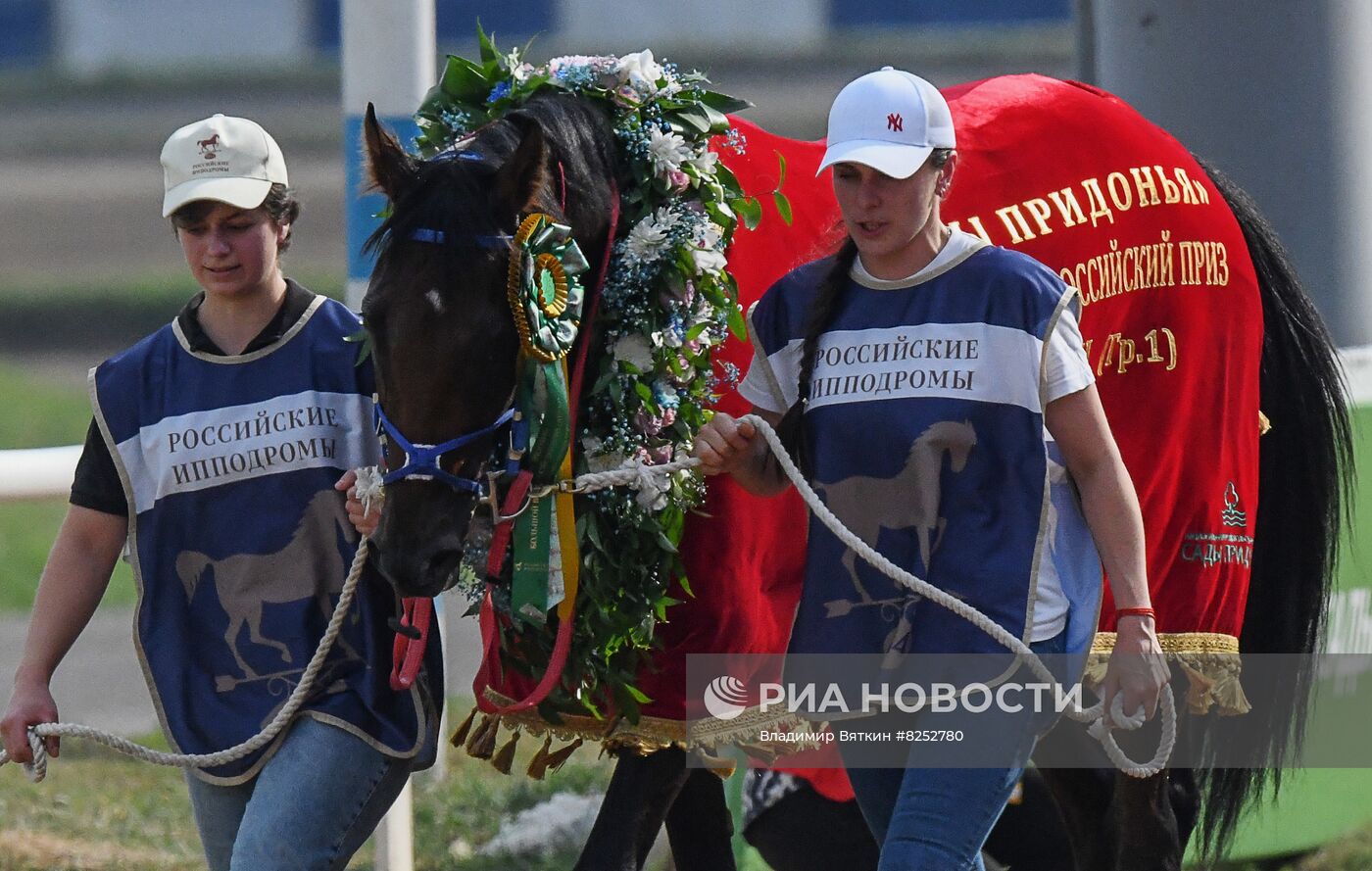 Праздник чистокровного коннозаводства