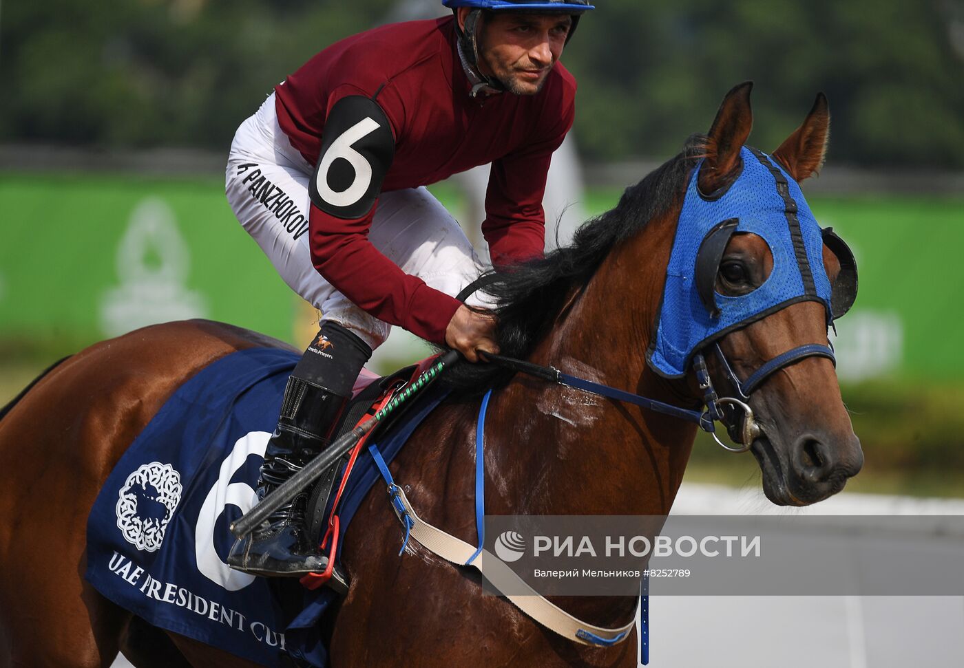 Праздник чистокровного коннозаводства