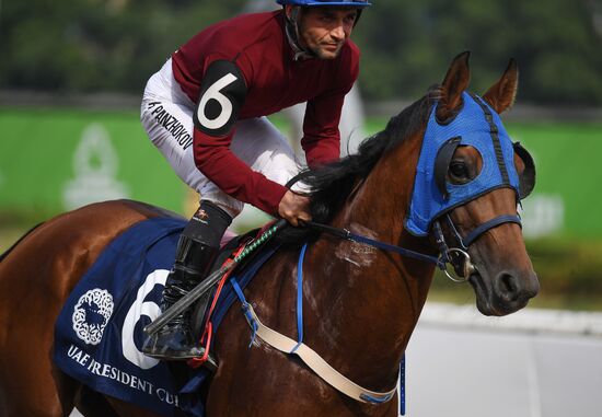 Праздник чистокровного коннозаводства