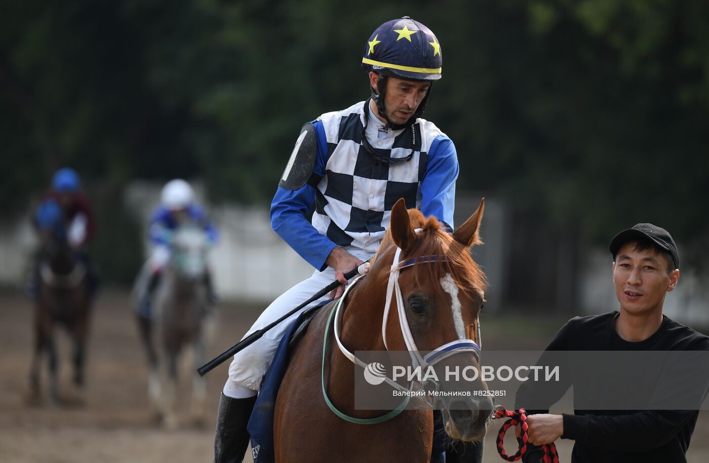 Праздник чистокровного коннозаводства