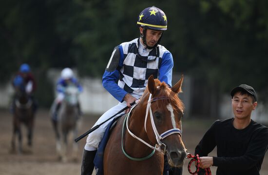 Праздник чистокровного коннозаводства