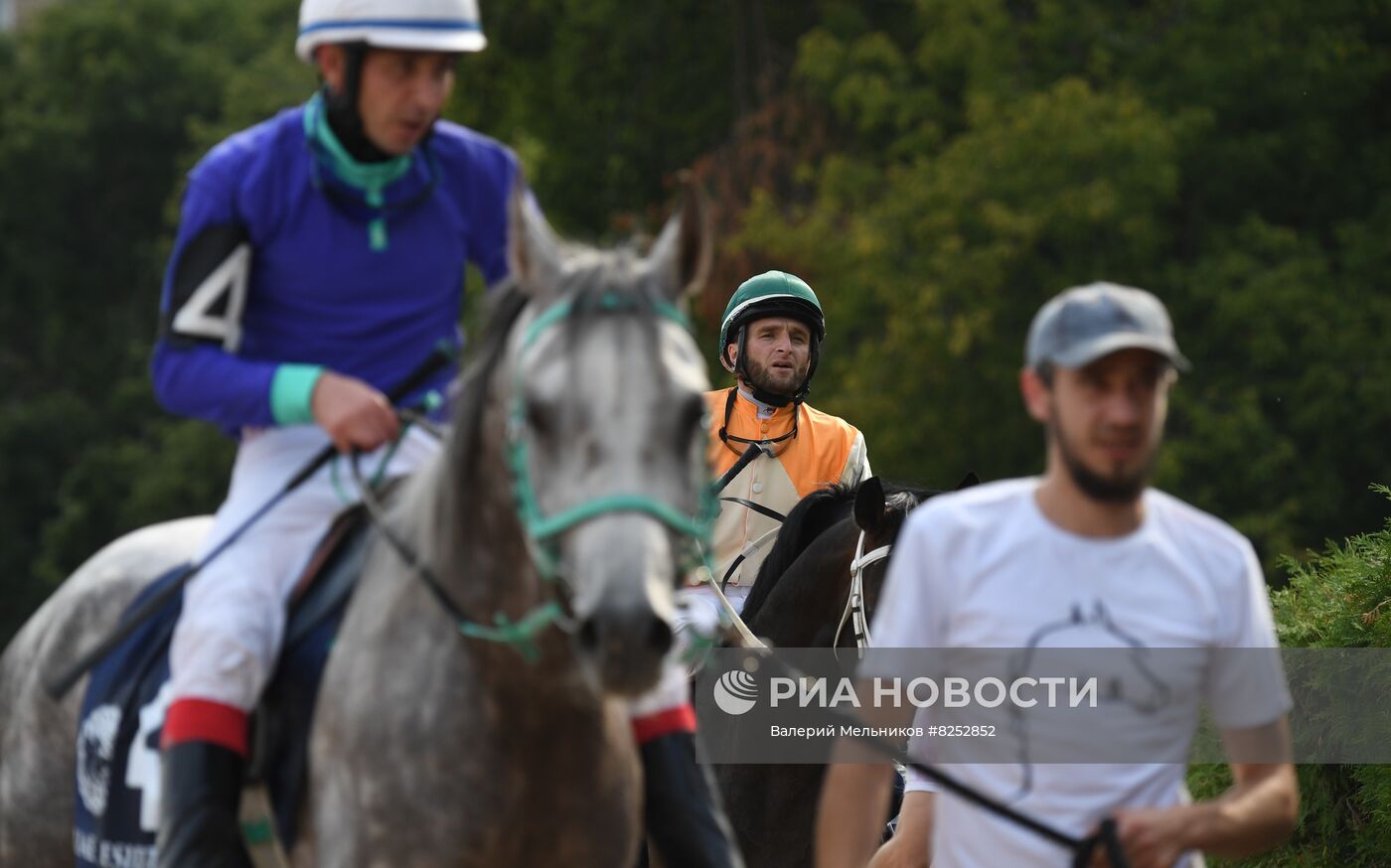 Праздник чистокровного коннозаводства