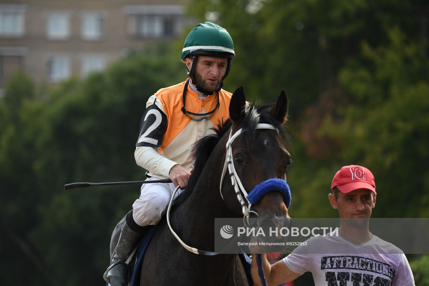 Праздник чистокровного коннозаводства