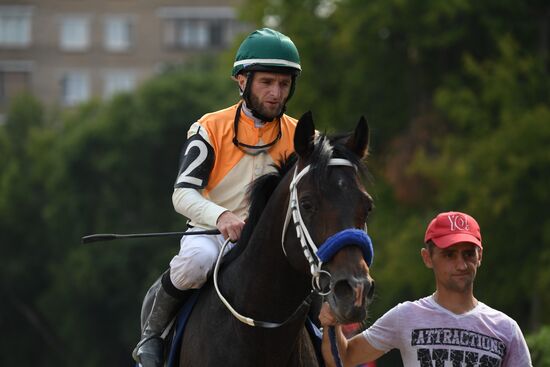 Праздник чистокровного коннозаводства