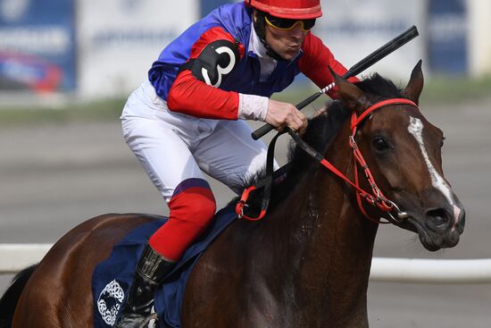 Праздник чистокровного коннозаводства