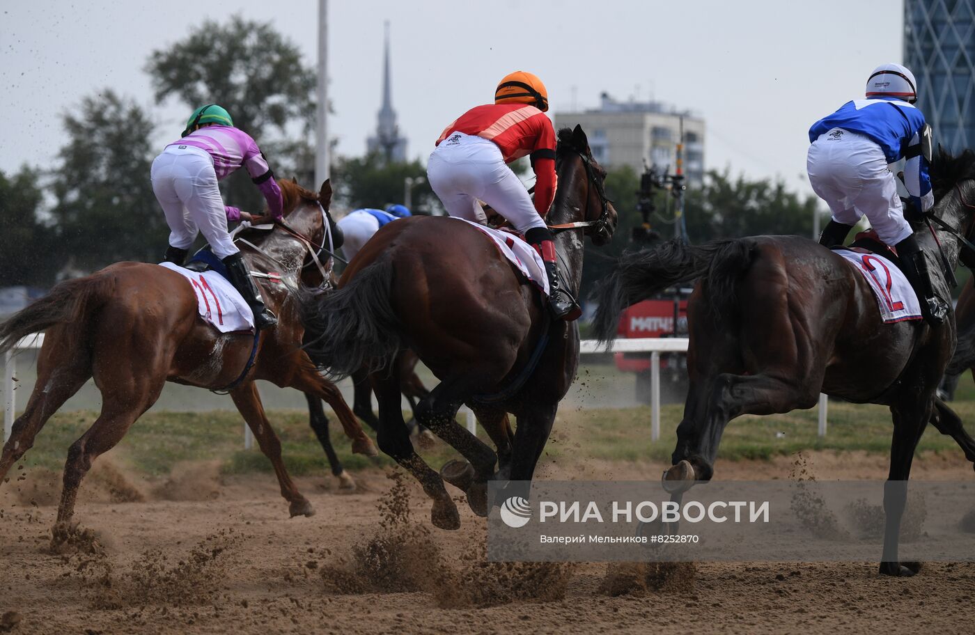 Праздник чистокровного коннозаводства