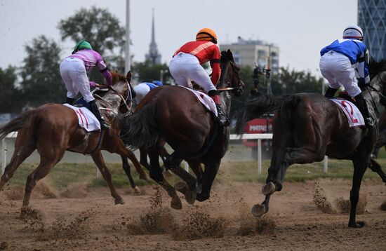 Праздник чистокровного коннозаводства