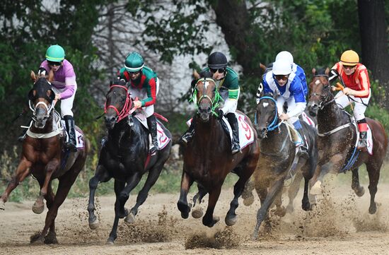 Праздник чистокровного коннозаводства