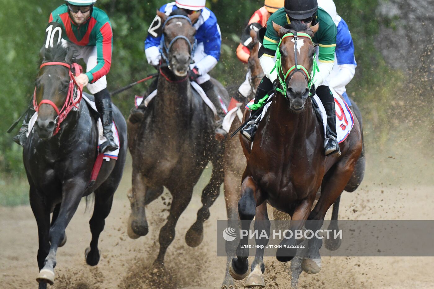 Праздник чистокровного коннозаводства