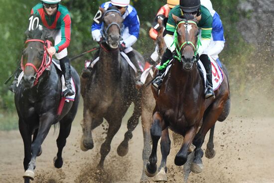 Праздник чистокровного коннозаводства