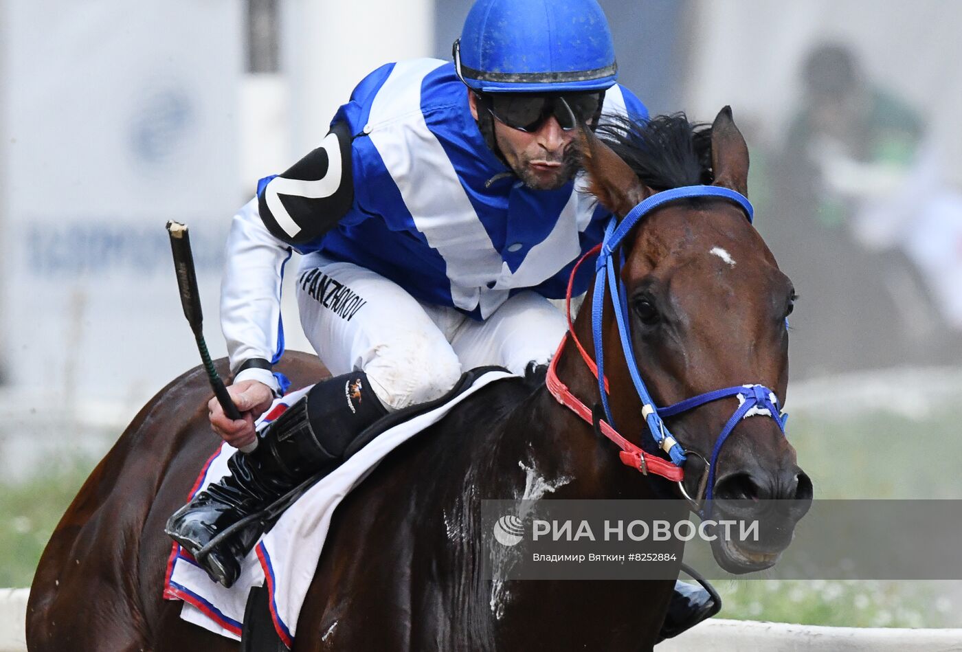 Праздник чистокровного коннозаводства